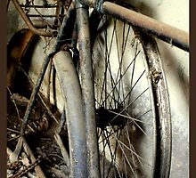 Beauty in the breakdown by Fiona Christensen