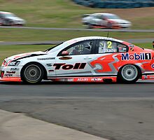 SKAIFE RACE by Cheryl Hall