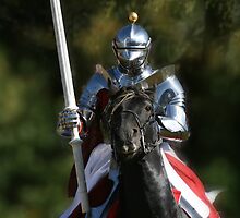 King Henry VIII, Knight of the Sun by Wayne Gerard Trotman