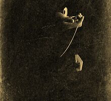 THE PASSING OF TIME by mark09