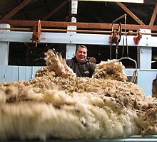 throwing the fleece by Ellenor Clarke