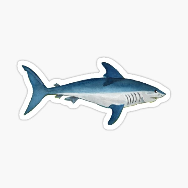 Original Watercolor Illustration Of Mako Shark Sticker By Bellamells