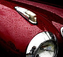 Droplets on Lincoln by starlitewonder