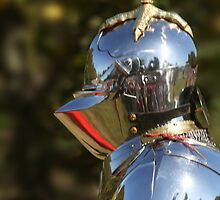 George Boleyn, Knight of the Moon by Wayne Gerard Trotman