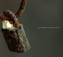 No Entry by Saleh Rubat