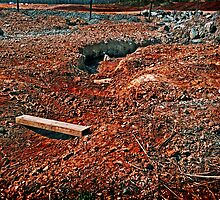 Wasteland by Chris Begg