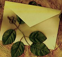 Message of love by pepita selles