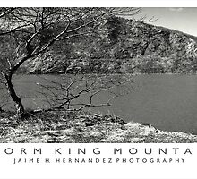 "Storm King Mountain" by Jaime Hernandez