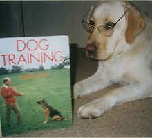 Learned Lab. by Meg Hart