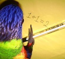 I Like Maths by Sarah Jennings