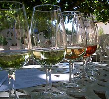 Dégustation de Vins by juellie