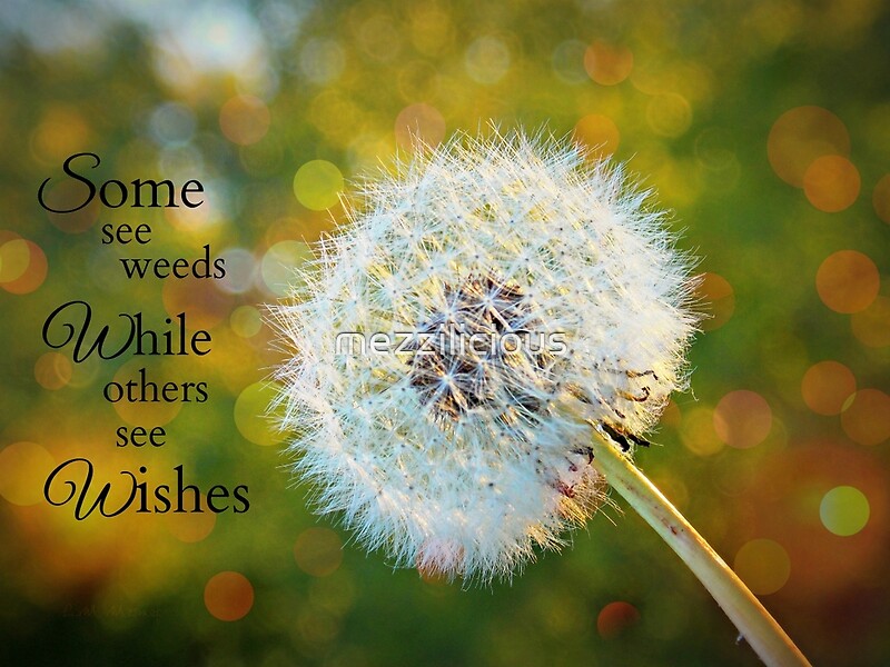 "Dandelion - Inspirational, Some See Weeds While Others See Wishes" by