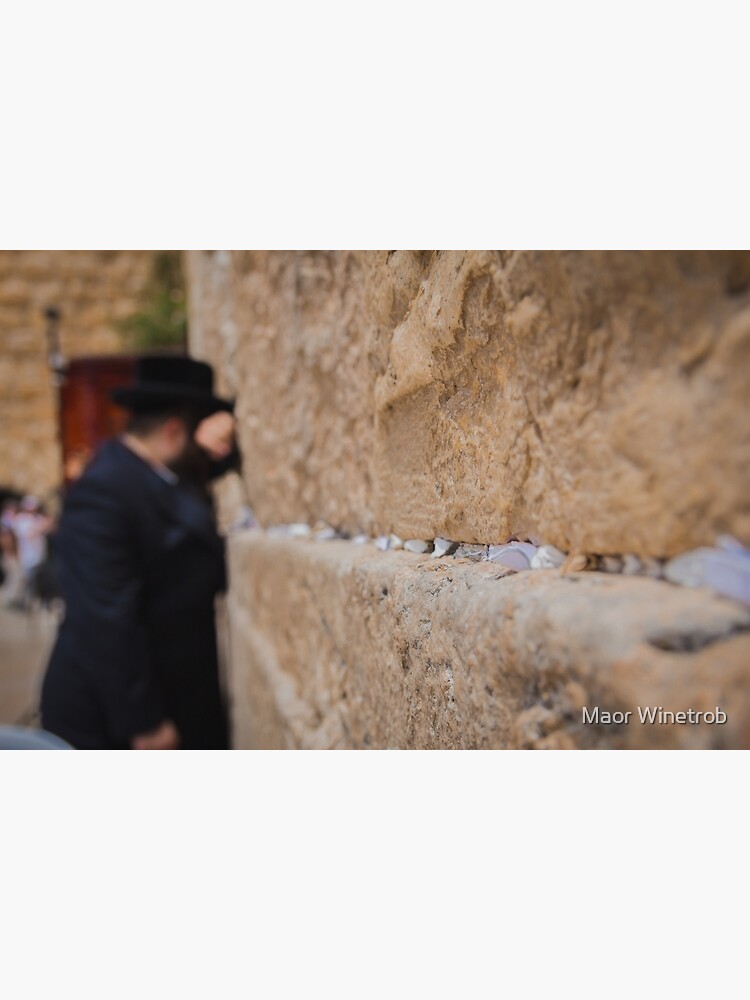 L Mina Fotogr Fica Jud O Ortodoxo Religioso Rezando En El Muro De Los