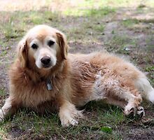 Sonya Resting by Peggy Berger