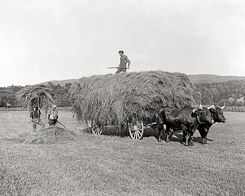 Vintage farmers