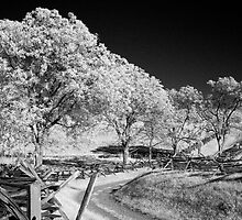 The Sunken Road by Bowman1