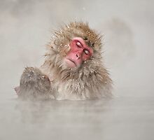 Heaven is a hot soak by Anne Young
