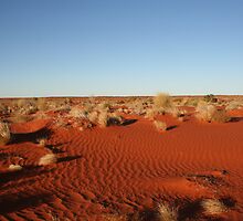 Somewhere in the Simpson Desert... by A1000WORDS