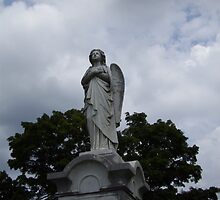 Solitary Angel by beresfordphotos