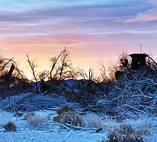 Morning on the Mojave by Herman Hodges