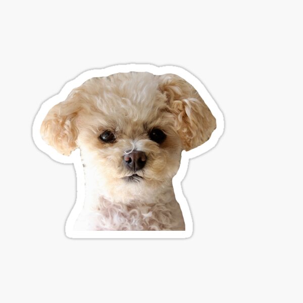 Josie Sticker For Sale By Maddyafair Redbubble