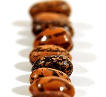Beans by Denitsa Dabizheva