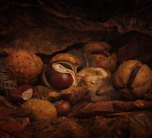 Stoop to Conkers by Gazart