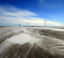 Snow Blizzards - II by Vivek Bakshi