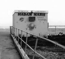 The Cops finally busted Madam Marie by M.C. O'Connor