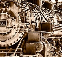 Steam Engine No 481 by Janet Fikar