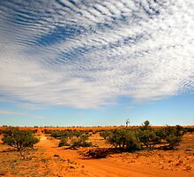 Desert Tracks by Jenni Tanner