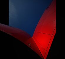 red wings by rita vita finzi