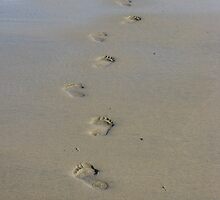 FOOTPRINTS by gothgirl