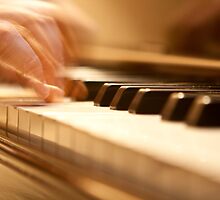 THE PIANIST'S FINGERS by elatan