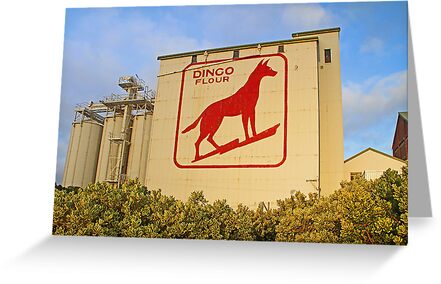 Dingo Flour Mill