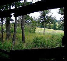A Horizonal View by shimschoot