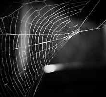 Wicked Web of Deceit by Mike Weeks