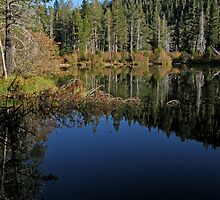 Sand Pond 2 ~ Sierra City, California by Patty Boyte