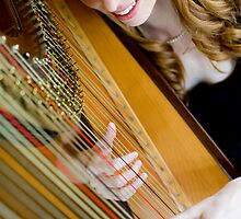 The Harpist #3 by Mark Elshout
