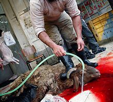 Eid Al Adha 02 by Jason Moore
