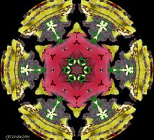 TULIPS, DAFFS. . . and WEEDS by Dayonda
