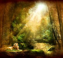 The King's Humility by StacyLee