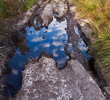 Cloudy Puddle by Shane Viper