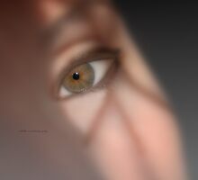 ReDiscover The Shadows © Vicki Ferrari by Vicki Ferrari