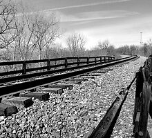Old Train Bridge by Richard Skoropat
