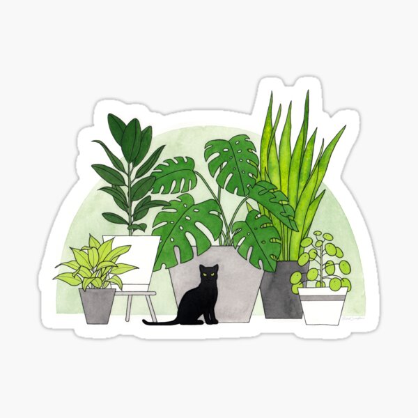 Jungle Cat Sticker For Sale By Rachels Redbubble