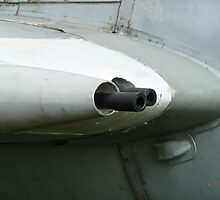 Wing Guns but what plane? by Woodie