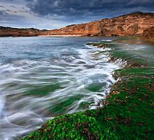 Stay by Jared Revell