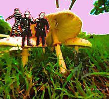 MUSHROOM INVESTIGATIONERS by Carol-Anne Kozik