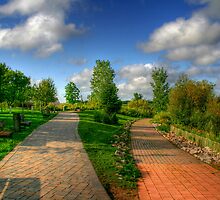 Choose Your Path in Life by Larry Trupp